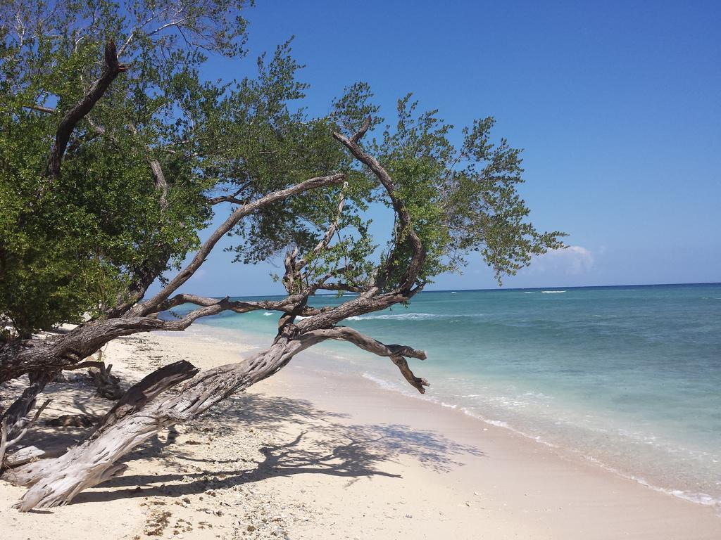 Villas Light House - Eco-Traditional Joglo Gili Trawangan Buitenkant foto