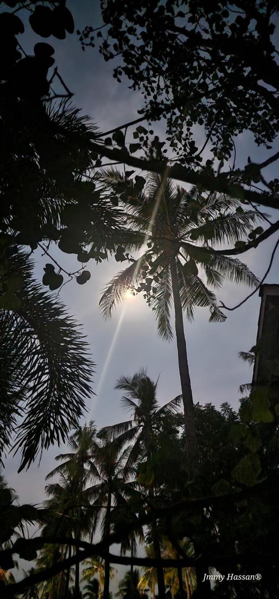Villas Light House - Eco-Traditional Joglo Gili Trawangan Buitenkant foto