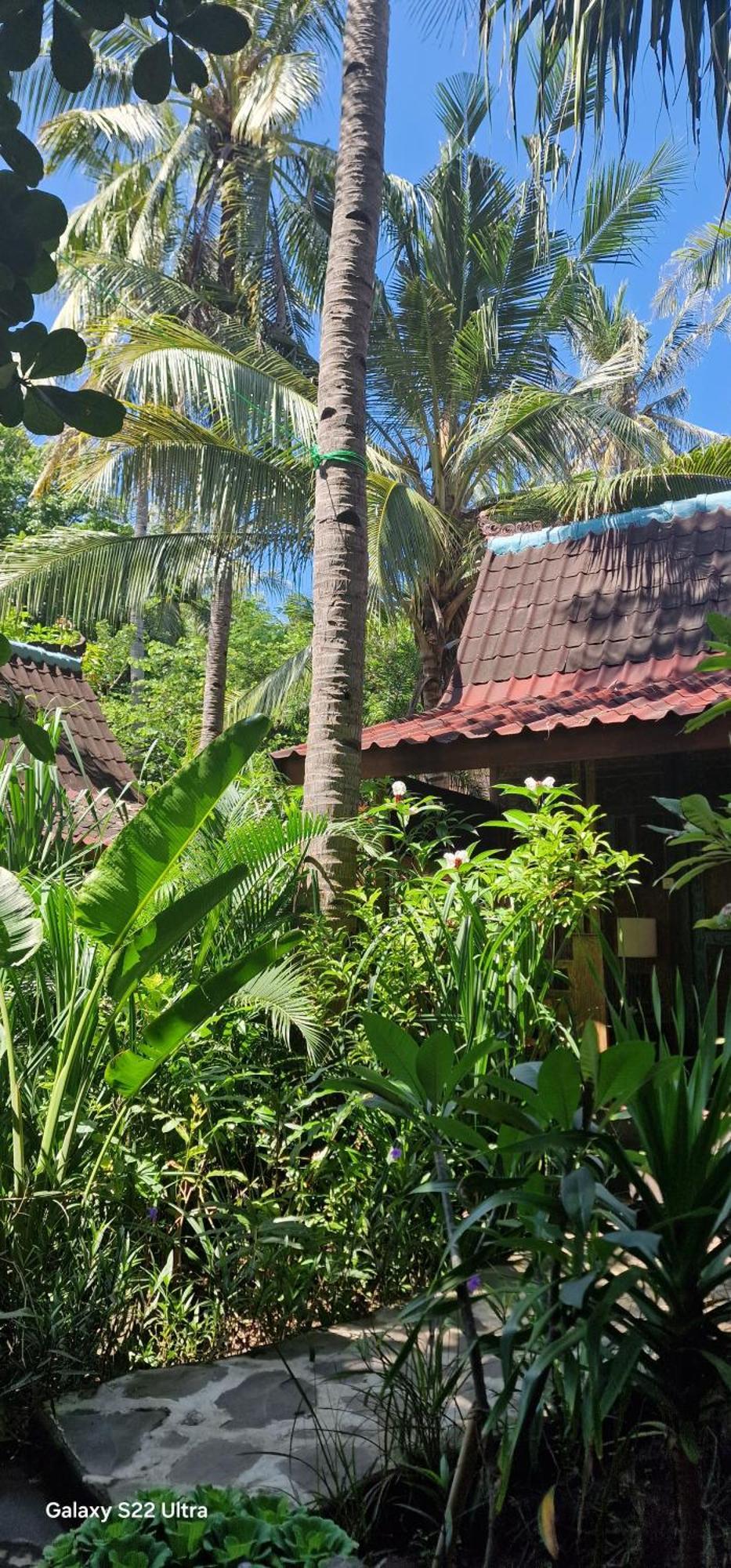 Villas Light House - Eco-Traditional Joglo Gili Trawangan Buitenkant foto